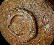 画像をギャラリービューアに読み込む, 小林勇超 信楽ぐいのみ