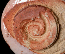 画像をギャラリービューアに読み込む, 光藤佐 志野ぐい呑B