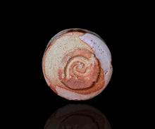 画像をギャラリービューアに読み込む, 光藤佐 志野ぐい呑B