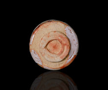 画像をギャラリービューアに読み込む, 光藤佐 志野ぐい呑C