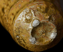 画像をギャラリービューアに読み込む, 光藤佐 伊羅保ぐい呑