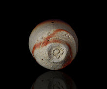 画像をギャラリービューアに読み込む, 後関裕士 桧山備前酒呑