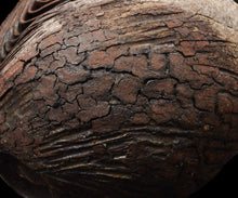 画像をギャラリービューアに読み込む, 泉田之也 積層裂盌