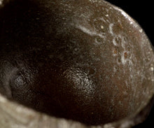 画像をギャラリービューアに読み込む, 若尾利貞 翠楽茶盌