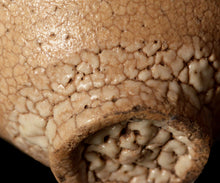 画像をギャラリービューアに読み込む, 金宗勲 井戸杯B