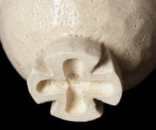 画像をギャラリービューアに読み込む, 金宗勲 割高台杯