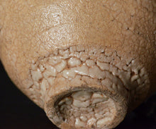 画像をギャラリービューアに読み込む, 金宗勲 井戸杯C