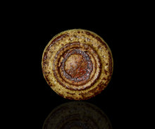 画像をギャラリービューアに読み込む, 松村遷 定林寺手黄瀬戸蕃茄酒盃