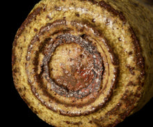 画像をギャラリービューアに読み込む, 松村遷 定林寺手黄瀬戸蕃茄酒盃