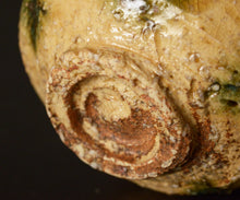 画像をギャラリービューアに読み込む, 松村遷 白樺手黄瀬戸酒盃