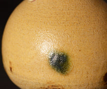 画像をギャラリービューアに読み込む, 松村遷 本沼梅花皮手黄瀬戸瓢徳利