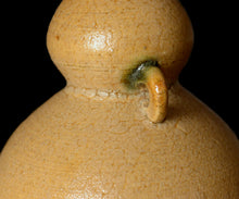 画像をギャラリービューアに読み込む, 松村遷 本沼梅花皮手黄瀬戸瓢徳利