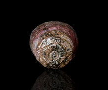 画像をギャラリービューアに読み込む, 塚本治彦 黒辰砂ぐい呑