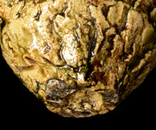 画像をギャラリービューアに読み込む, 塚本治彦 鳴海織部ぐい呑