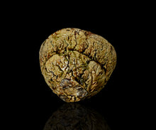 画像をギャラリービューアに読み込む, 塚本治彦 鳴海織部ぐい呑