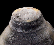 画像をギャラリービューアに読み込む, 川瀬隆一郎 崎陽高麗 井戸杯