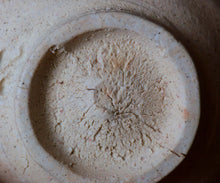 画像をギャラリービューアに読み込む, マイケルマルティノ 泉山染付海老紋茶盌