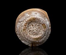 画像をギャラリービューアに読み込む, 川瀬隆一郎 崎陽高麗 たる井戸杯