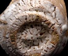 画像をギャラリービューアに読み込む, 川瀬隆一郎 崎陽高麗 たる井戸杯