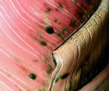 画像をギャラリービューアに読み込む, アーグネスフス 七彩水指 しぶき