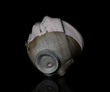 画像をギャラリービューアに読み込む, 加藤真美 フロスト釉茶碗 銘「花嵐」