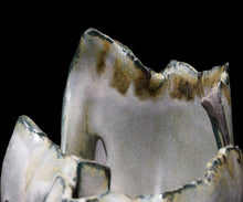 画像をギャラリービューアに読み込む, 加藤真美 フロスト釉 黒磁花入