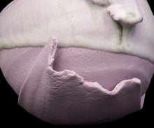 画像をギャラリービューアに読み込む, 加藤真美 フロストラベンダー 揺碗