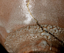 画像をギャラリービューアに読み込む, 金宗勲 大井戸茶盌 銘「千里」