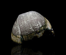 画像をギャラリービューアに読み込む, 加藤真美 フロスト釉 黒酒盃B