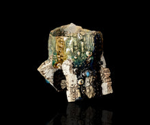 画像をギャラリービューアに読み込む, 澤田勇人 宙・酒呑