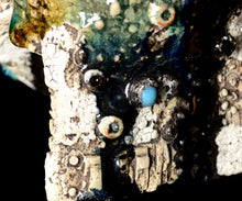 画像をギャラリービューアに読み込む, 澤田勇人 宙・酒呑