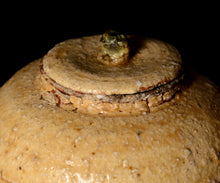 画像をギャラリービューアに読み込む, 松村遷 本沼白樺手黄瀬戸茶入