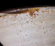 画像をギャラリービューアに読み込む, 安永頼山 白唐津皮鯨茶盌