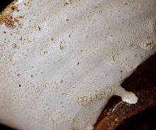 画像をギャラリービューアに読み込む, 安永頼山 白唐津皮鯨茶盌