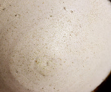 画像をギャラリービューアに読み込む, 安永頼山 白唐津皮鯨茶盌