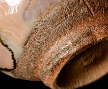 画像をギャラリービューアに読み込む, 岡本作礼 絵斑唐津茶盌