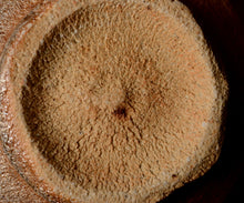 画像をギャラリービューアに読み込む, 岡本作礼 絵斑唐津茶盌