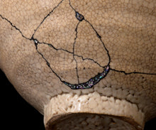 画像をギャラリービューアに読み込む, 金宗勲 井戸平茶盌