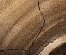 画像をギャラリービューアに読み込む, 金宗勲 井戸平茶盌