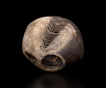 画像をギャラリービューアに読み込む, 泉田之也 積層掛分盌