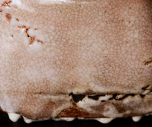 画像をギャラリービューアに読み込む, 川瀬隆一郎 崎陽高麗 ねじ四方盌