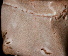 画像をギャラリービューアに読み込む, 川瀬隆一郎 崎陽高麗 ねじ四方盌