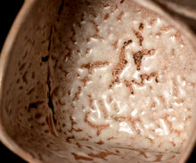 画像をギャラリービューアに読み込む, 川瀬隆一郎 崎陽高麗 ねじ四方盌