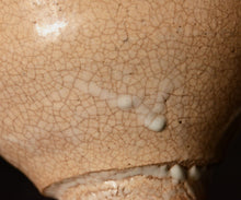 画像をギャラリービューアに読み込む, 川瀬隆一郎 崎陽高麗 大井戸茶盌