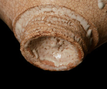 画像をギャラリービューアに読み込む, 川瀬隆一郎 崎陽高麗 大井戸茶盌