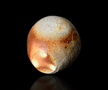 画像をギャラリービューアに読み込む, 後関裕士 桧山備前茶入