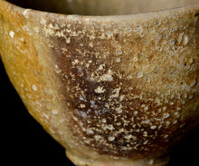 画像をギャラリービューアに読み込む, 三藤るい 青唐津茶碗 銘「金沙梨」