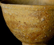 画像をギャラリービューアに読み込む, 三藤るい 青唐津茶碗 銘「金沙梨」