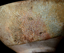 画像をギャラリービューアに読み込む, 三藤るい 砂斑唐津小服茶碗 銘「星霜」