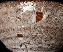 画像をギャラリービューアに読み込む, 西浦武 越前粉引茶盌